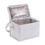 Geantă termoizolantă din poliester 210T, cu interior argintiu – cu logo-ul firmei — fotografia 3