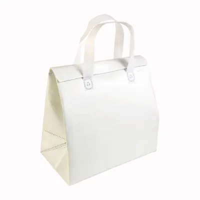Geantă termoizolantă din material nețesut laminat, 100 g/m², cu închidere cu velcro, 27 x 28 x 6 cm – cu logo-ul firmei